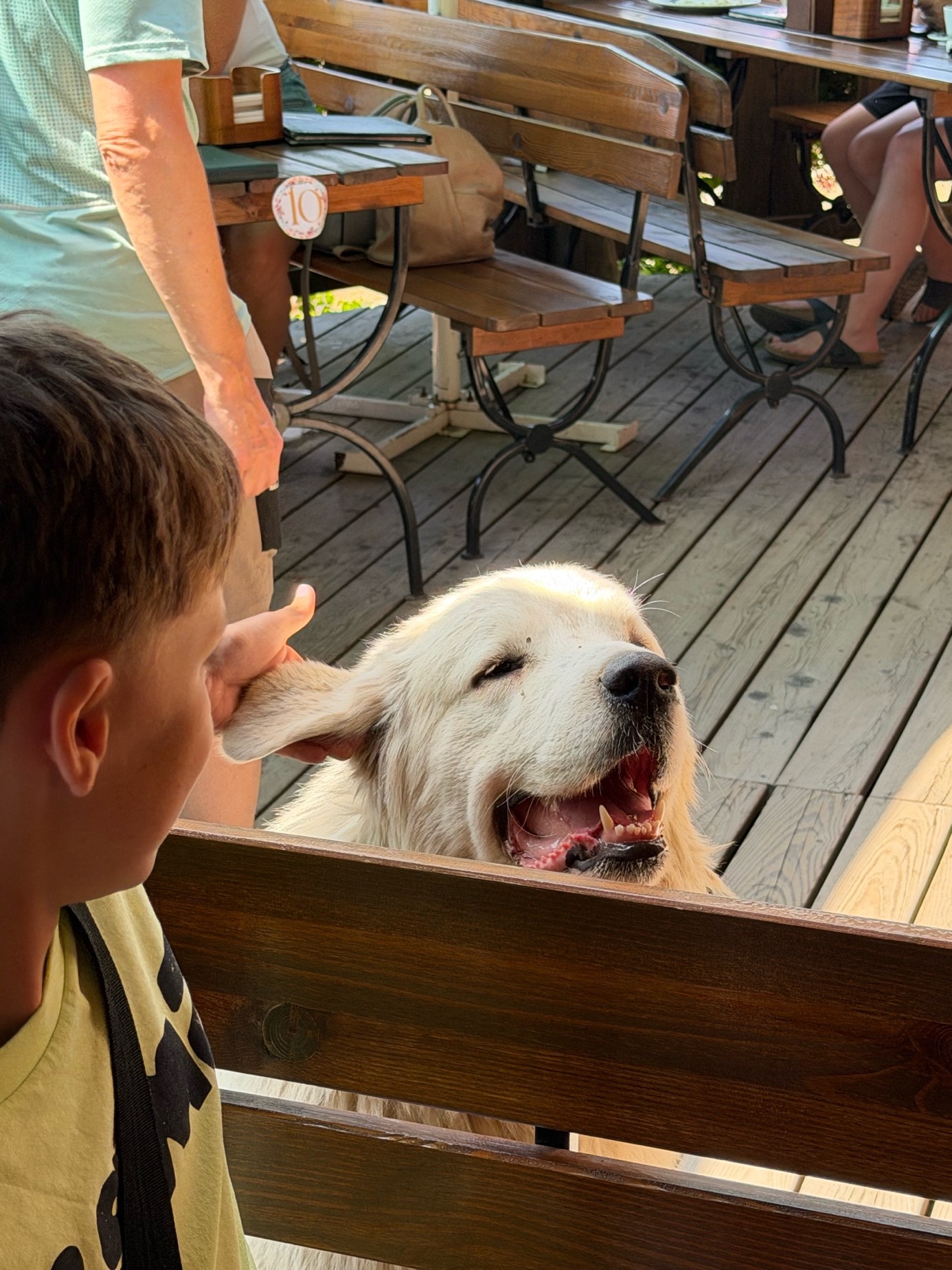salaš Zbojská dogfriendly miesto